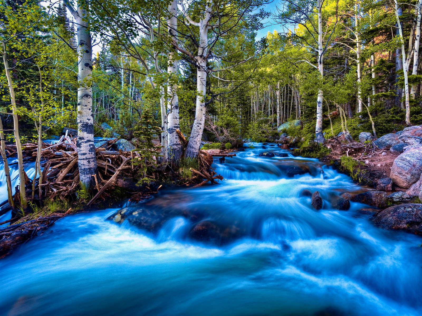 Речка в березах