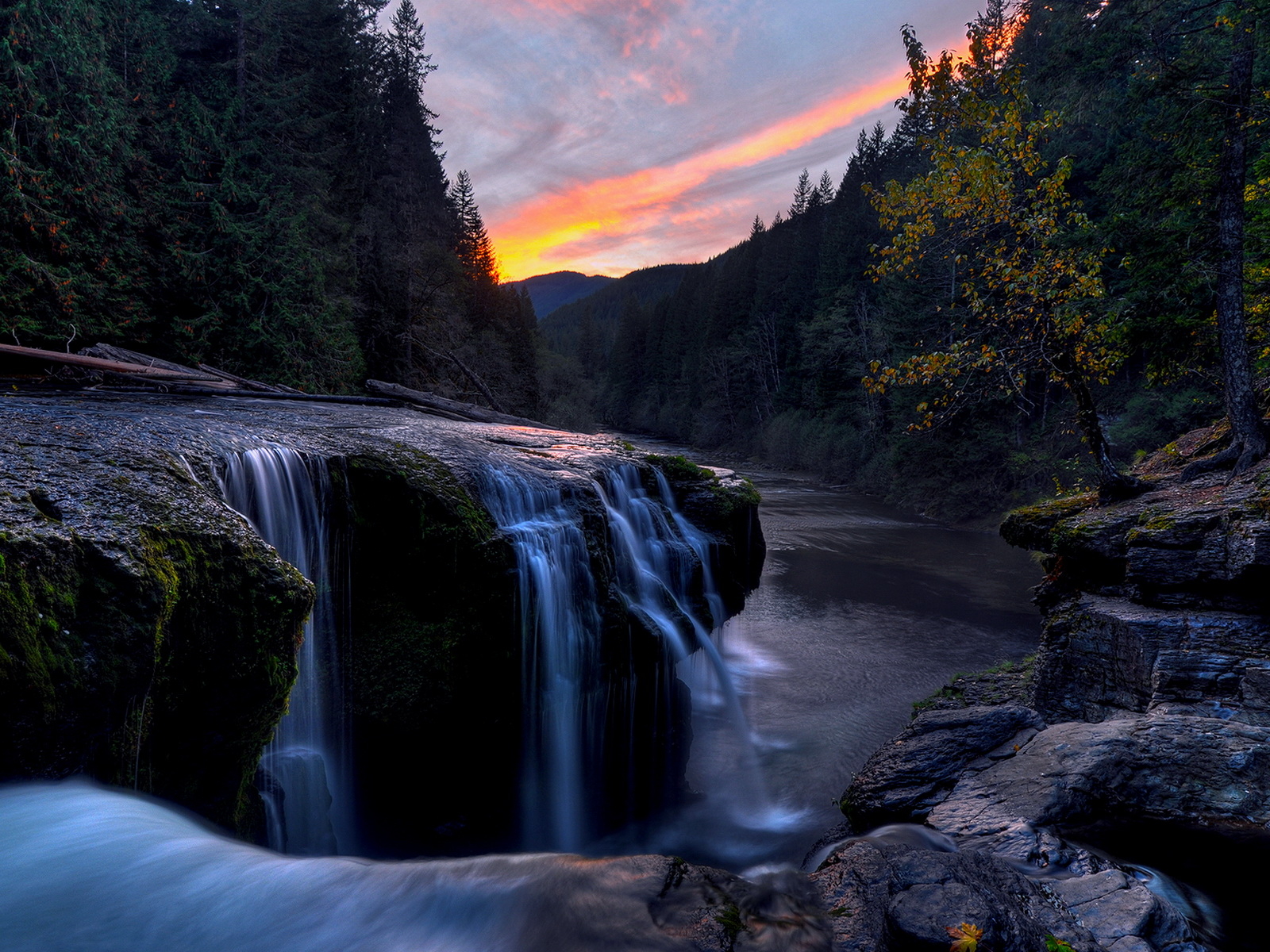 Речка в лесу