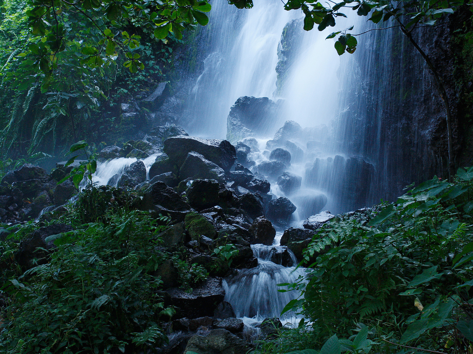 Лесной водопад