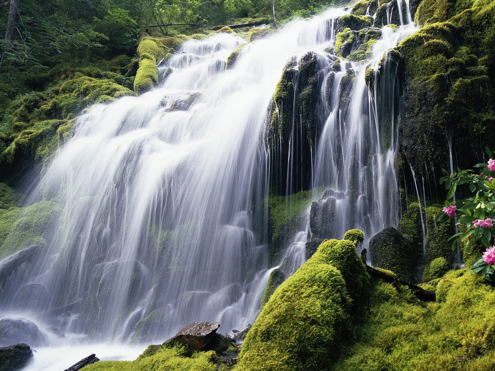 Красивый лесной водопад