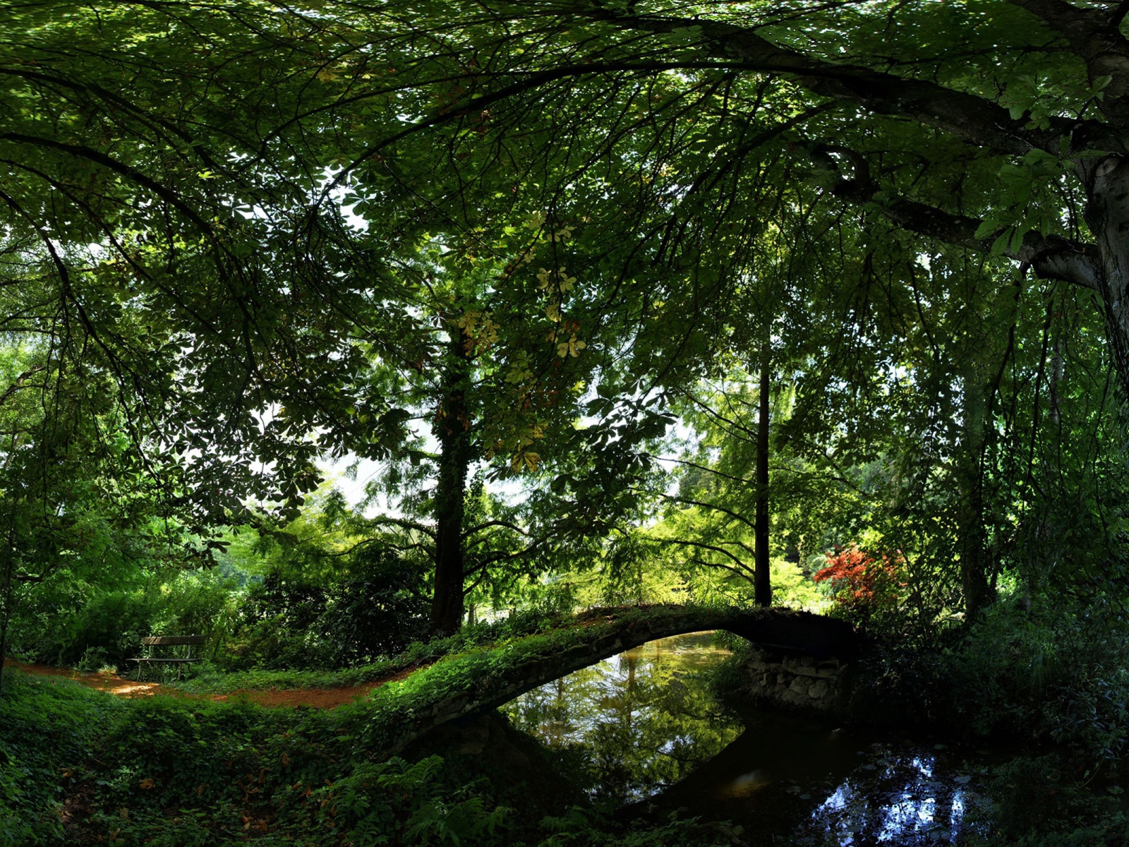 Лето Отдых в лесу