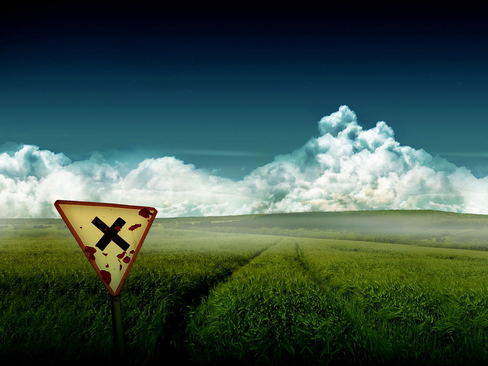 Зеленое поле