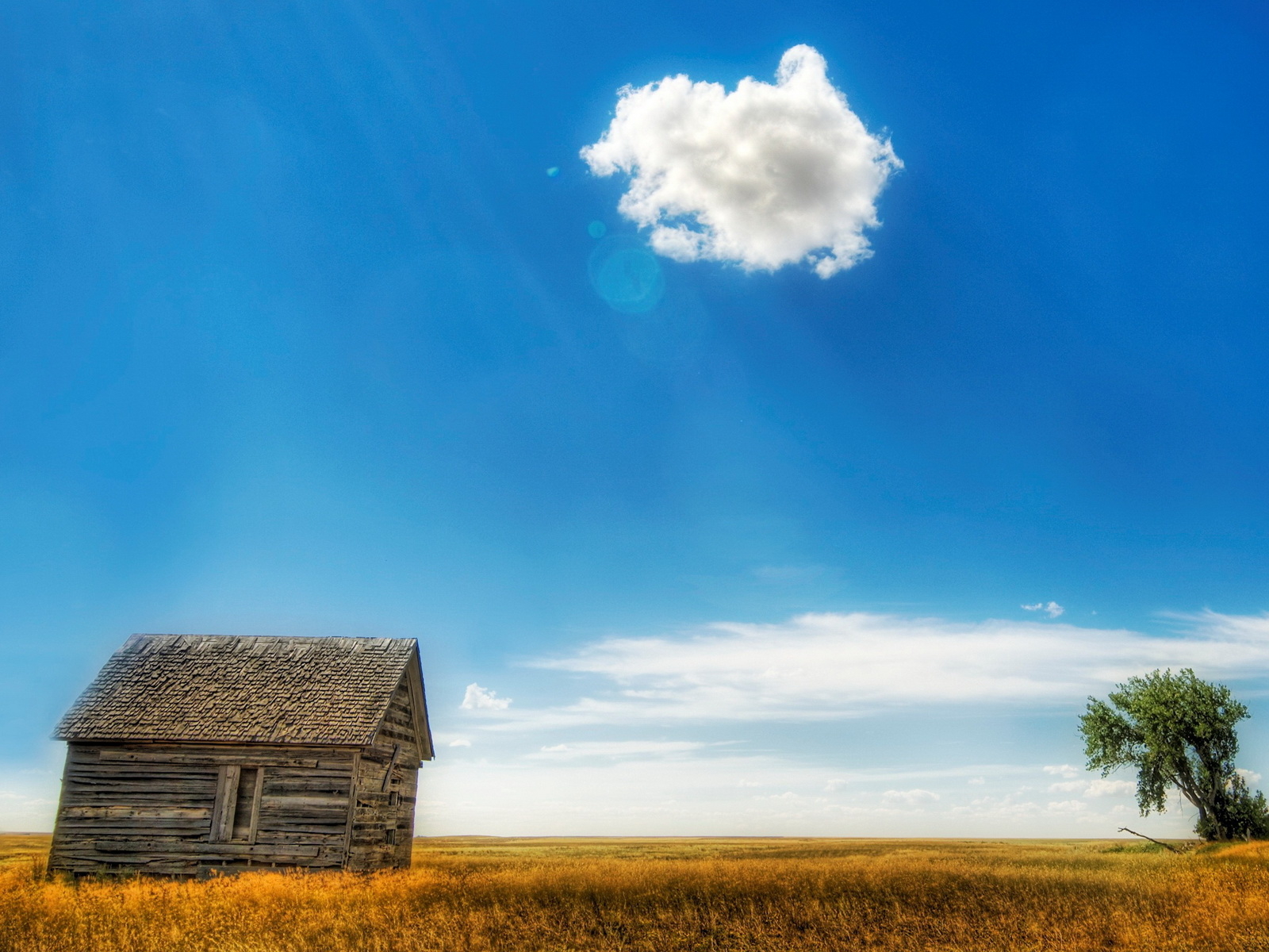 Старый сарай в поле