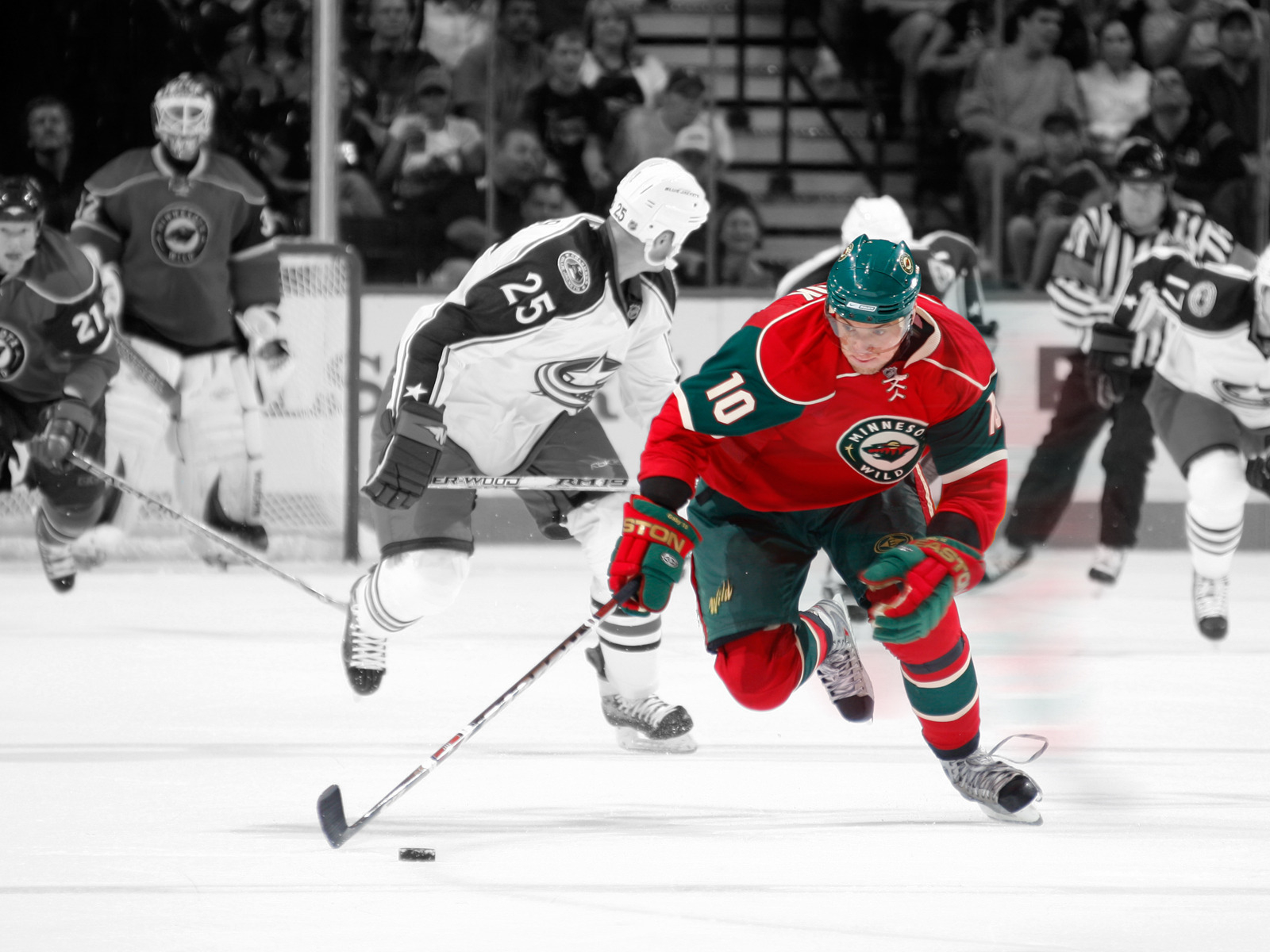 Minnesota Wild, NHL