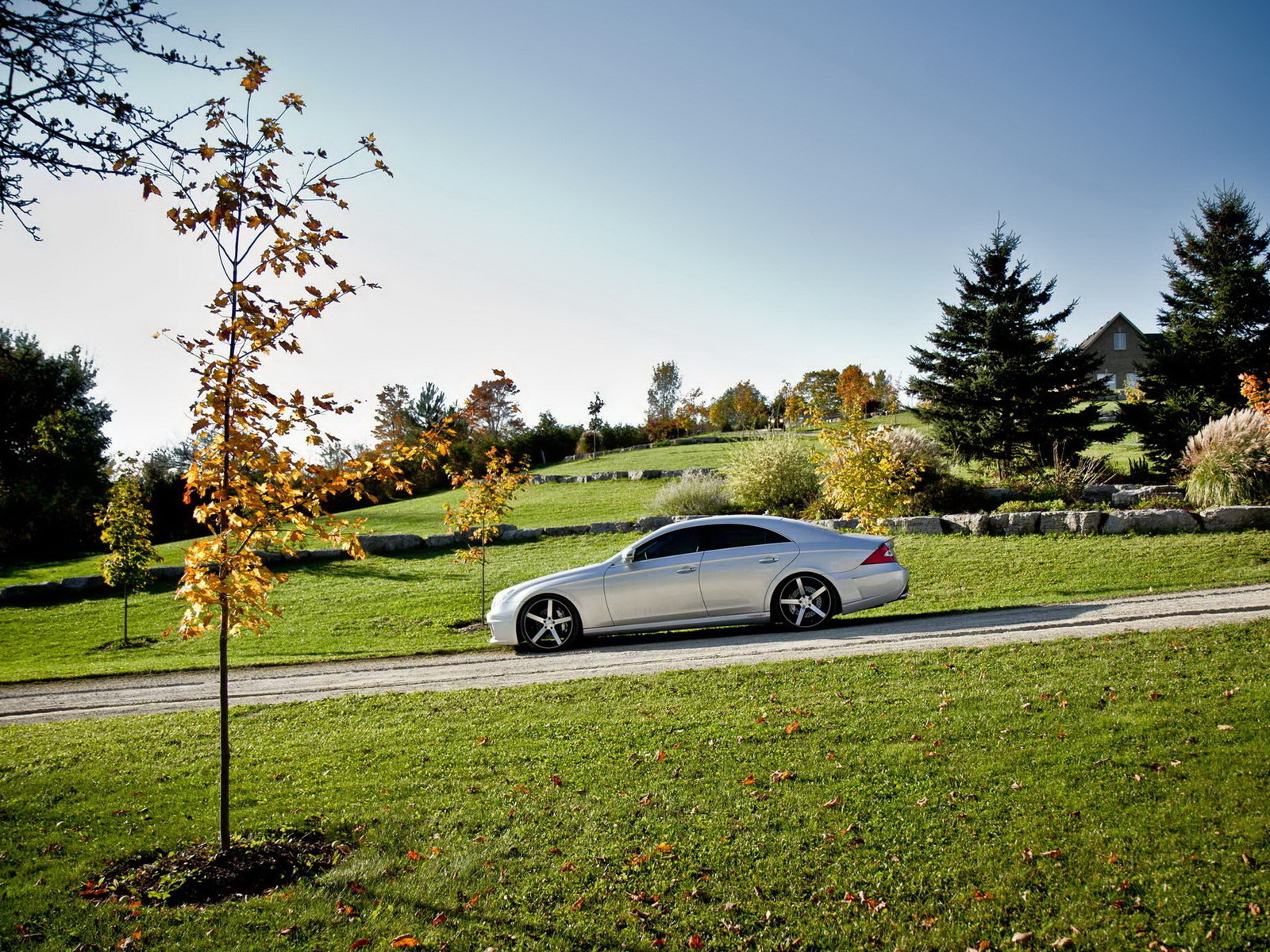 Mercedes Benz CLS на природе