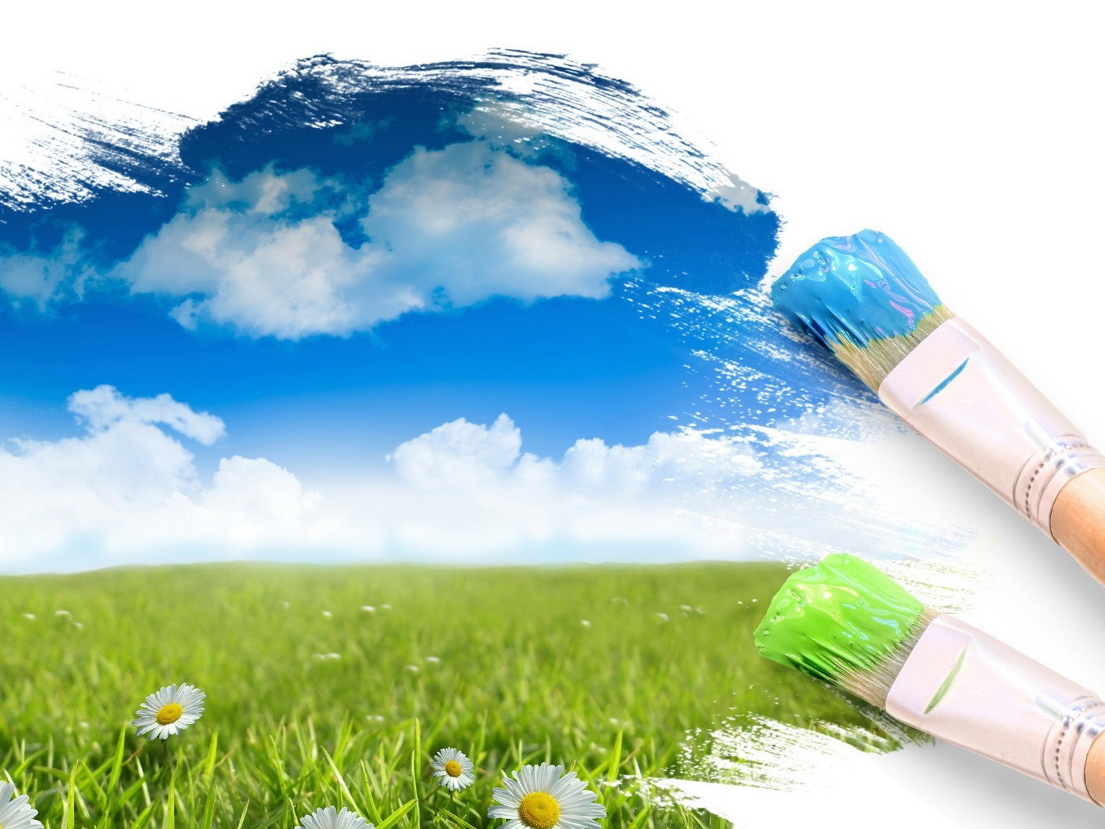 Красочный мир