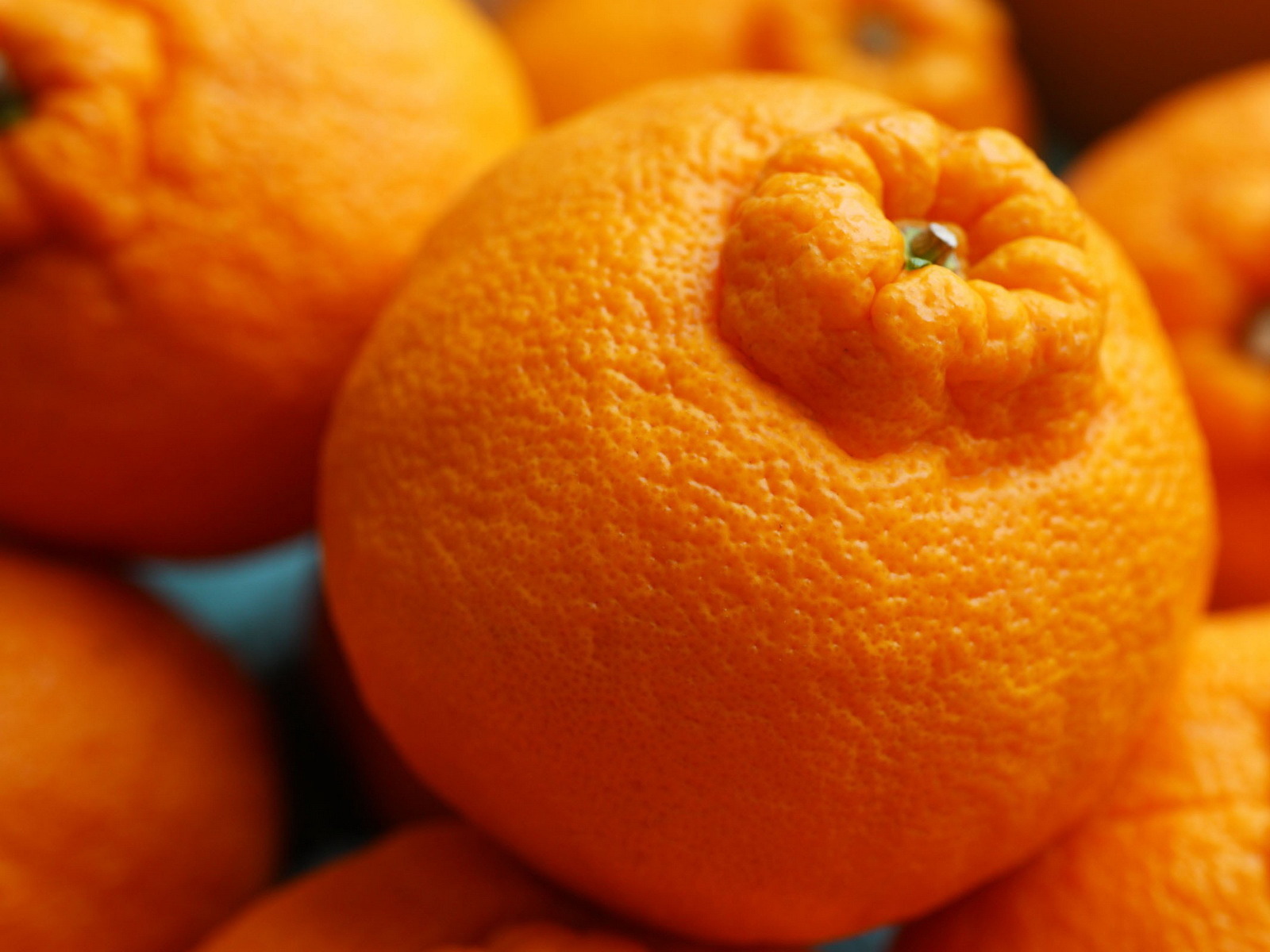 Россыпь мандаринов