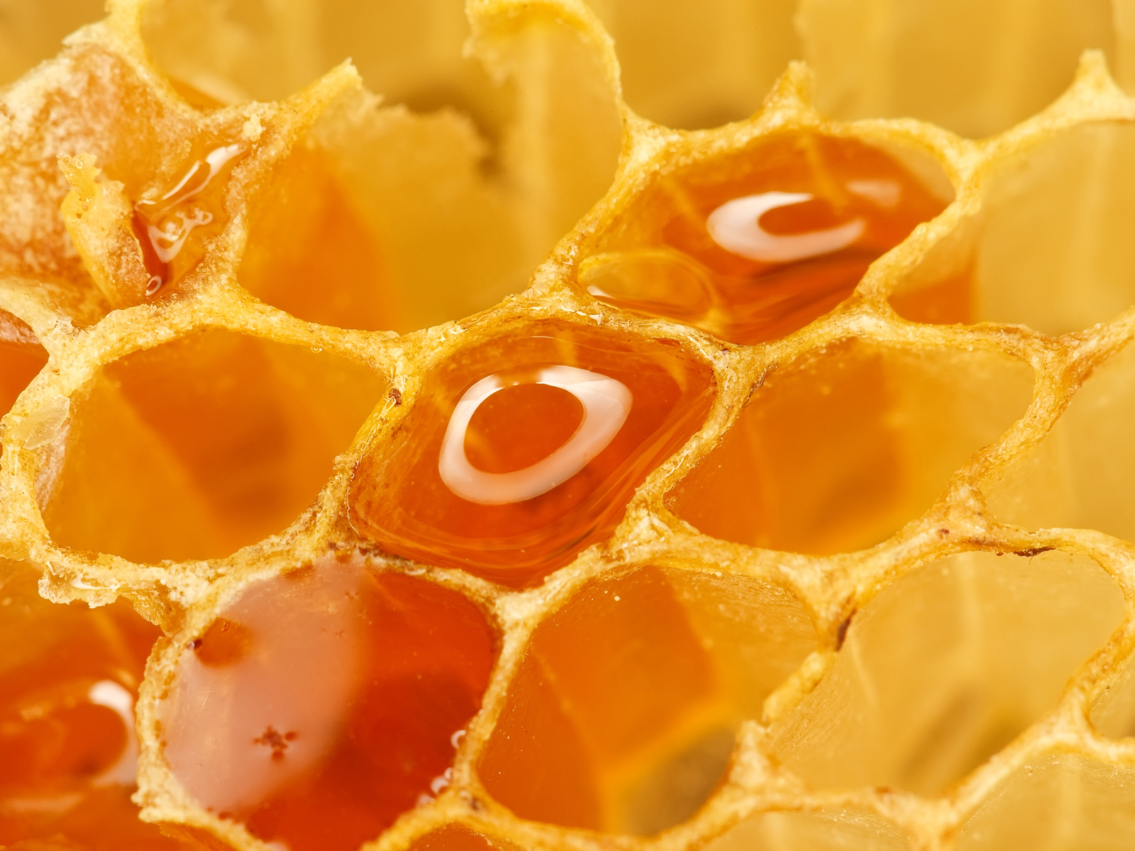 Мед в сотах