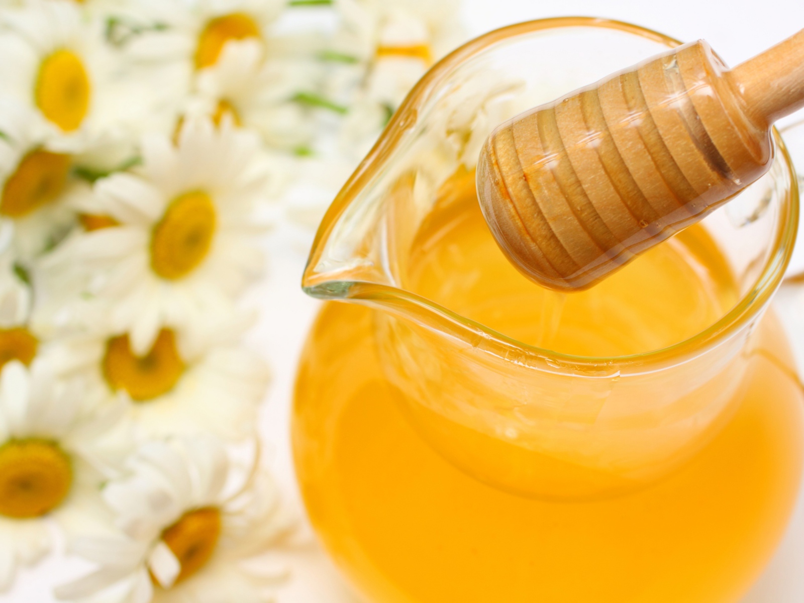 Мед и ромашки