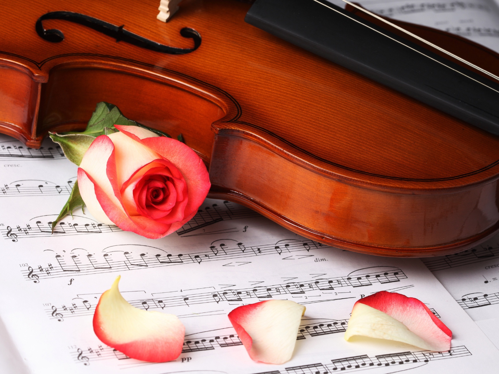 Классическая музыка