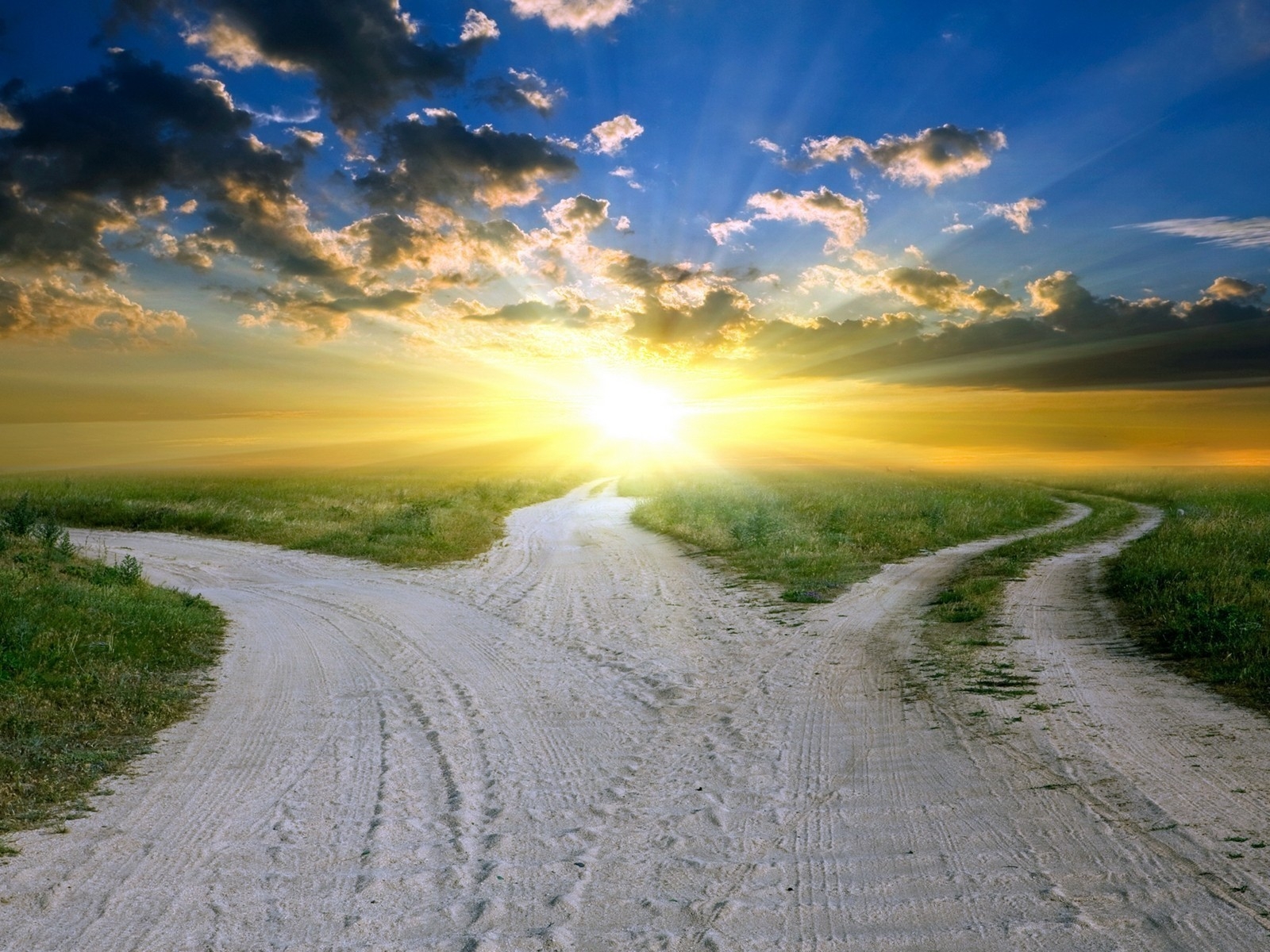 В чистом поле