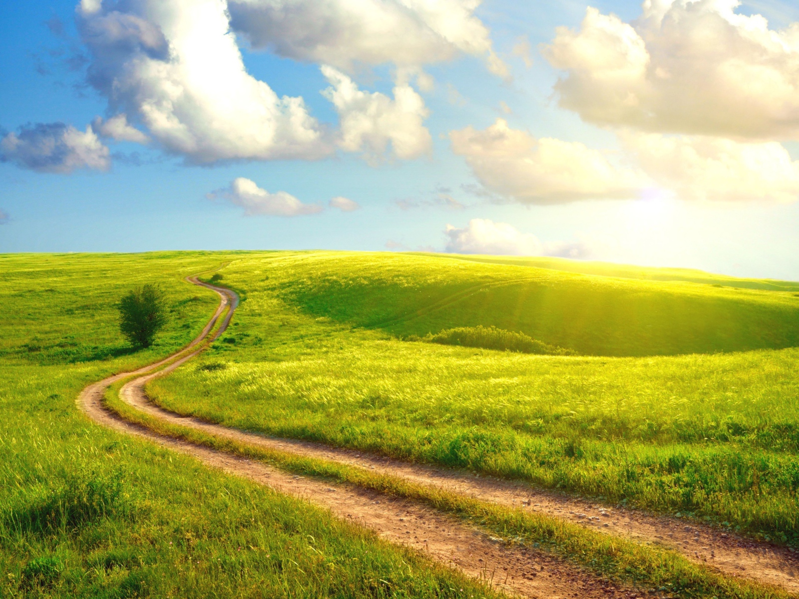 Солнечный день