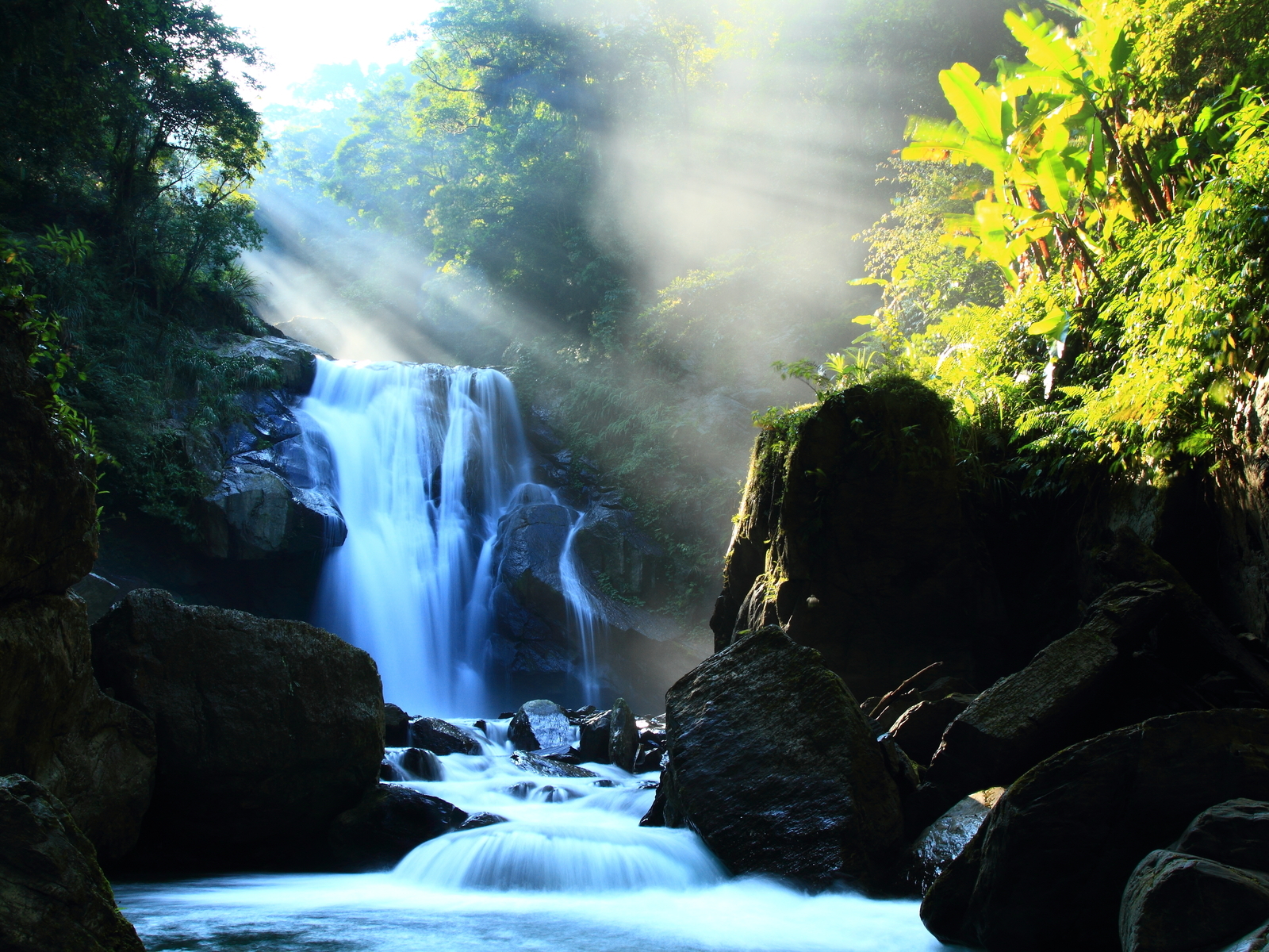 Речка в лесу