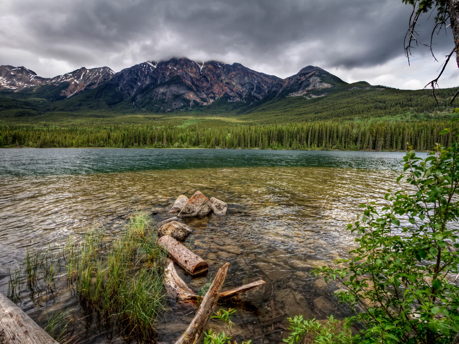 Каменистая река