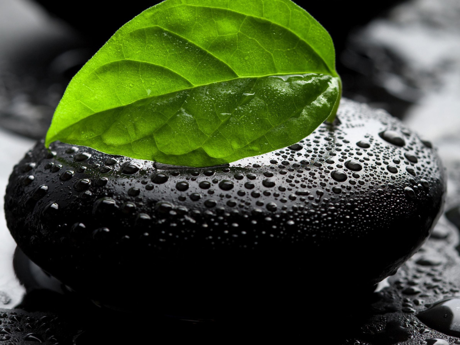 Мокрый камень