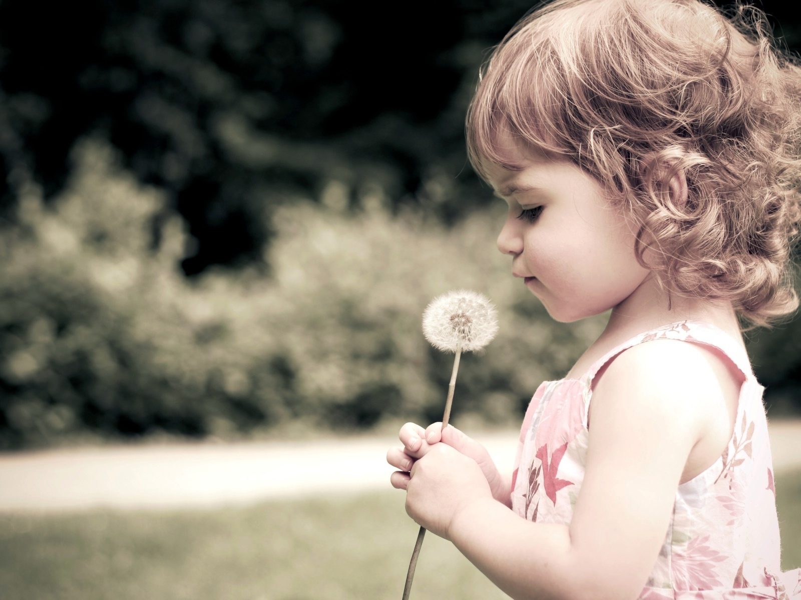 Ребенок и одуванчик