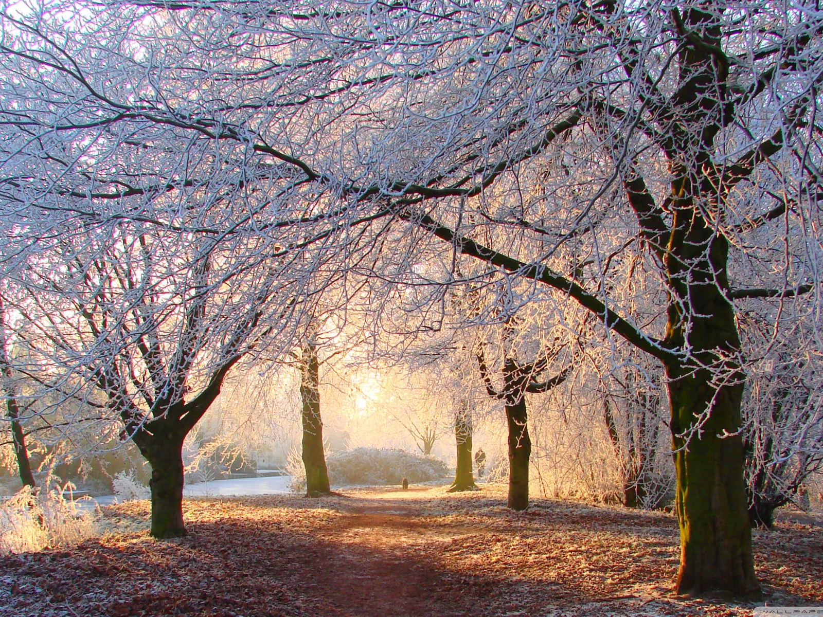 Зима на рассвете