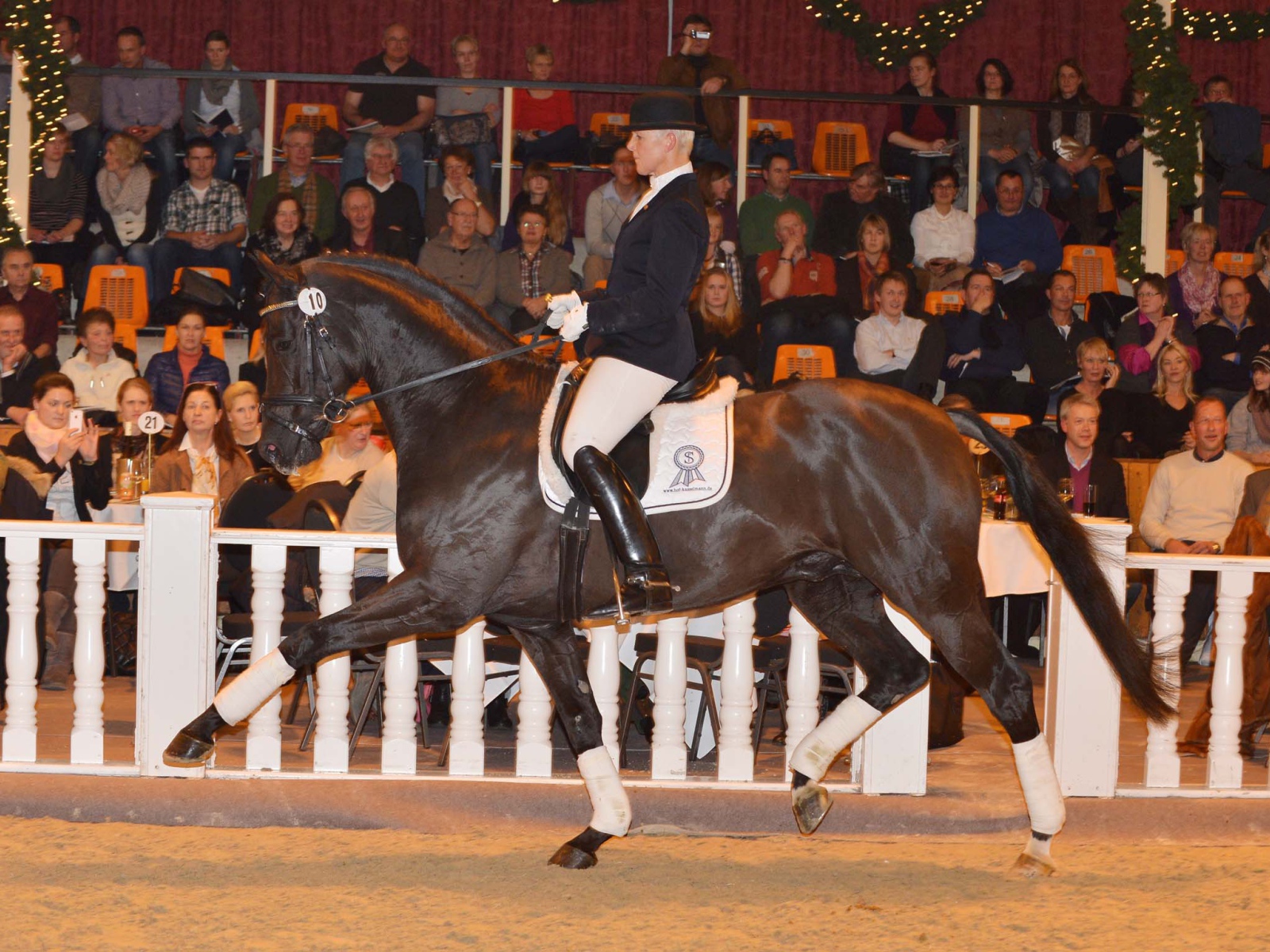Лошади чемпионы