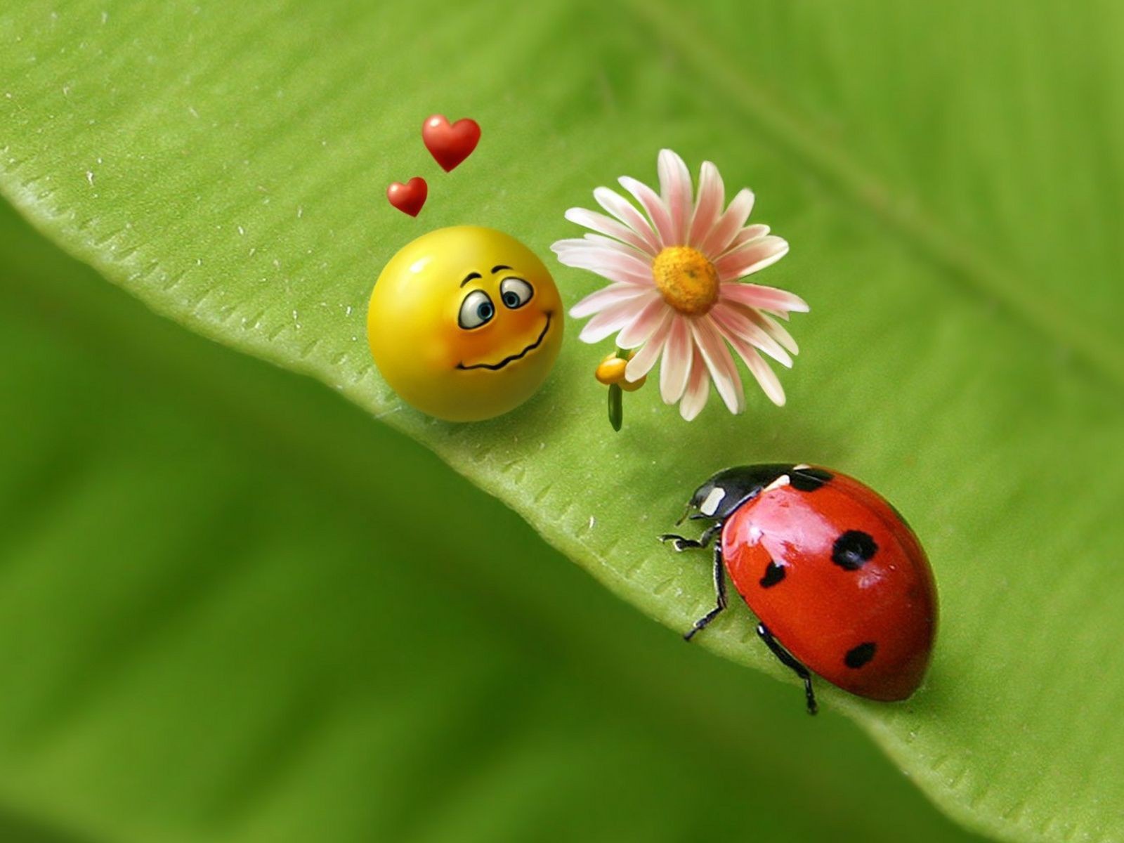 Смайлик и божья коровка