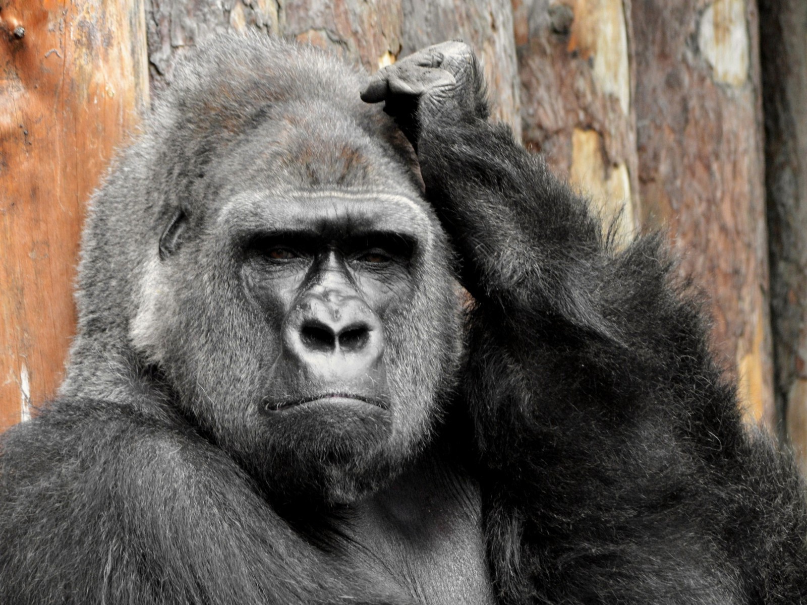 Тут надо подумать