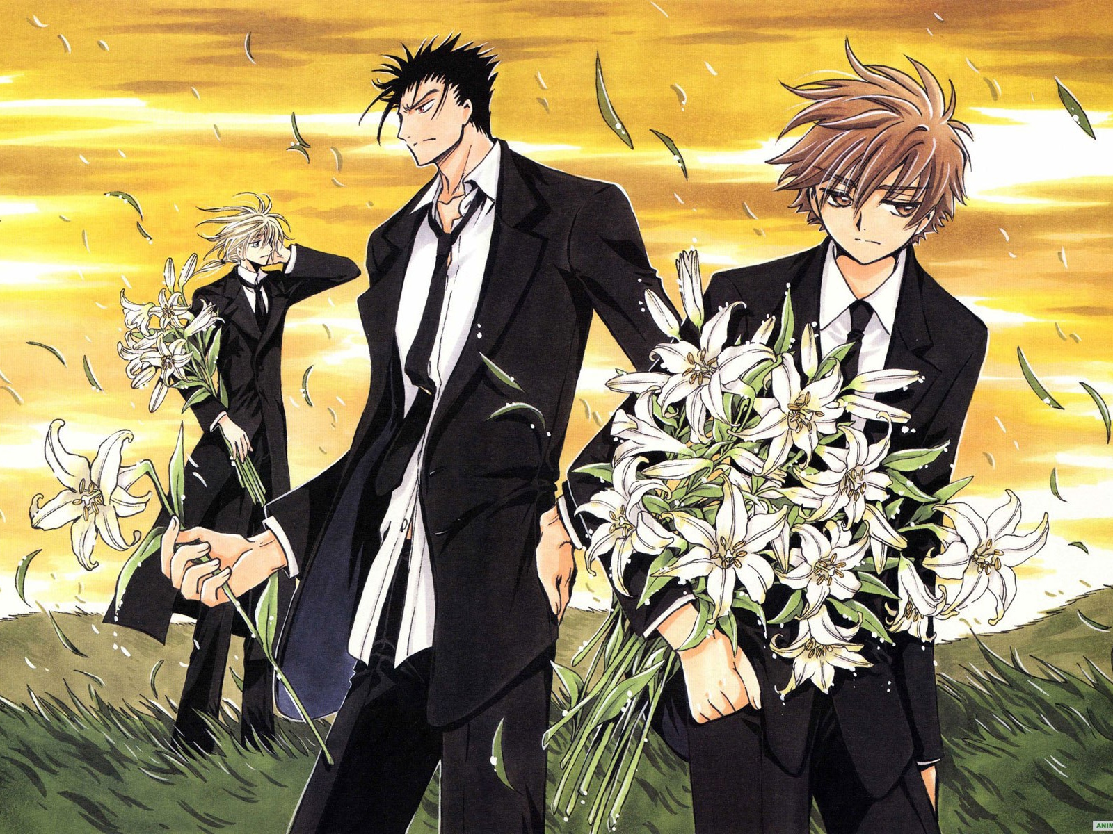 Хроника Крыльев