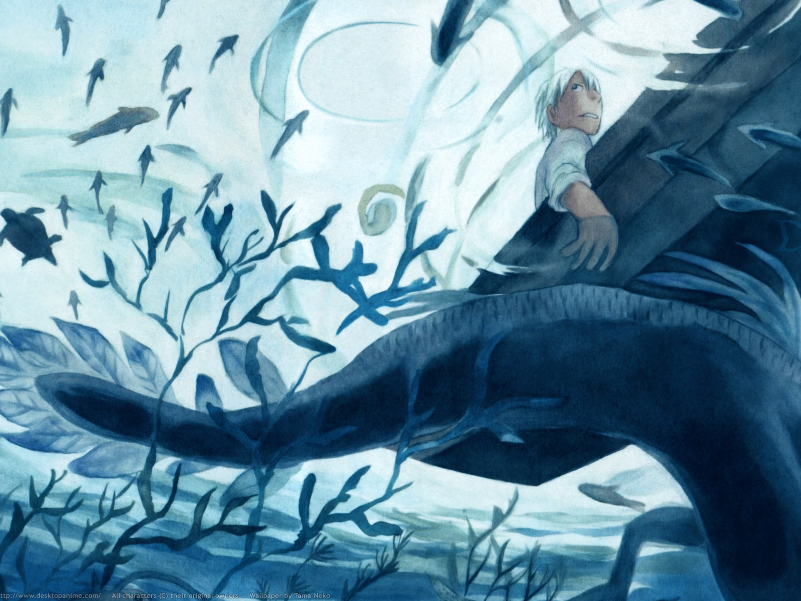 Мастер Муси