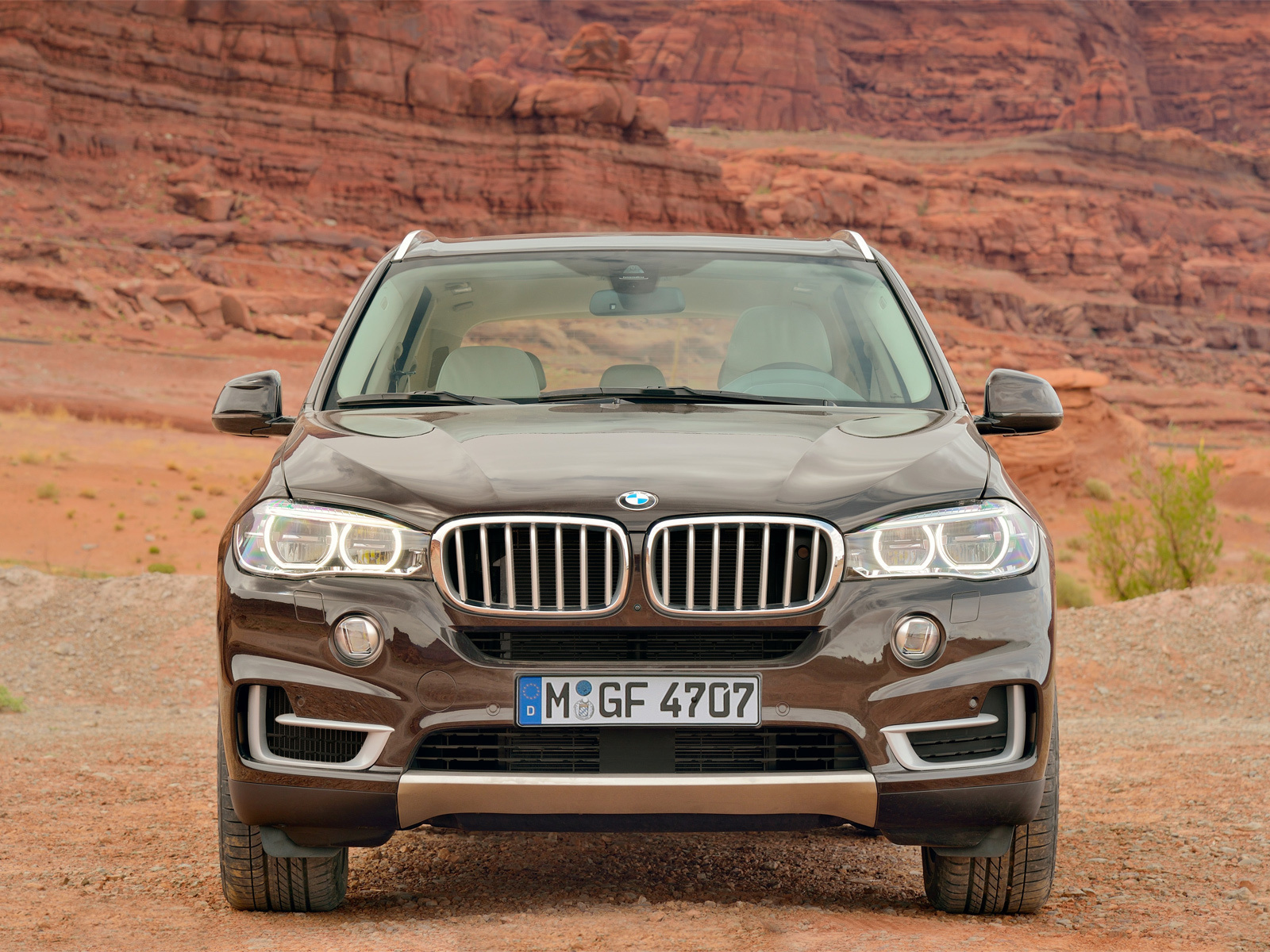 Коричневый BMW X4 кроссовер