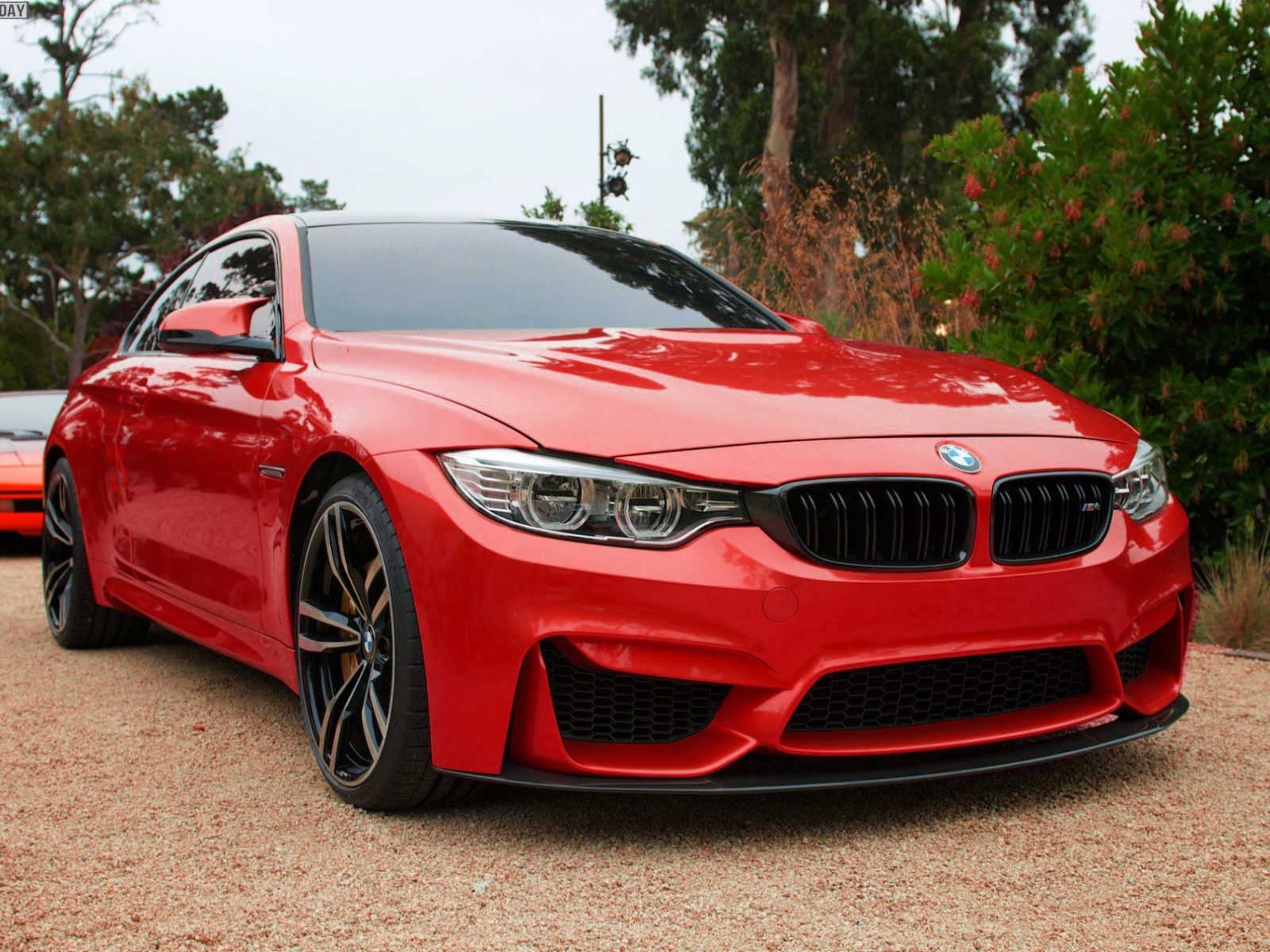 Красный BMW M4 на вечеринке