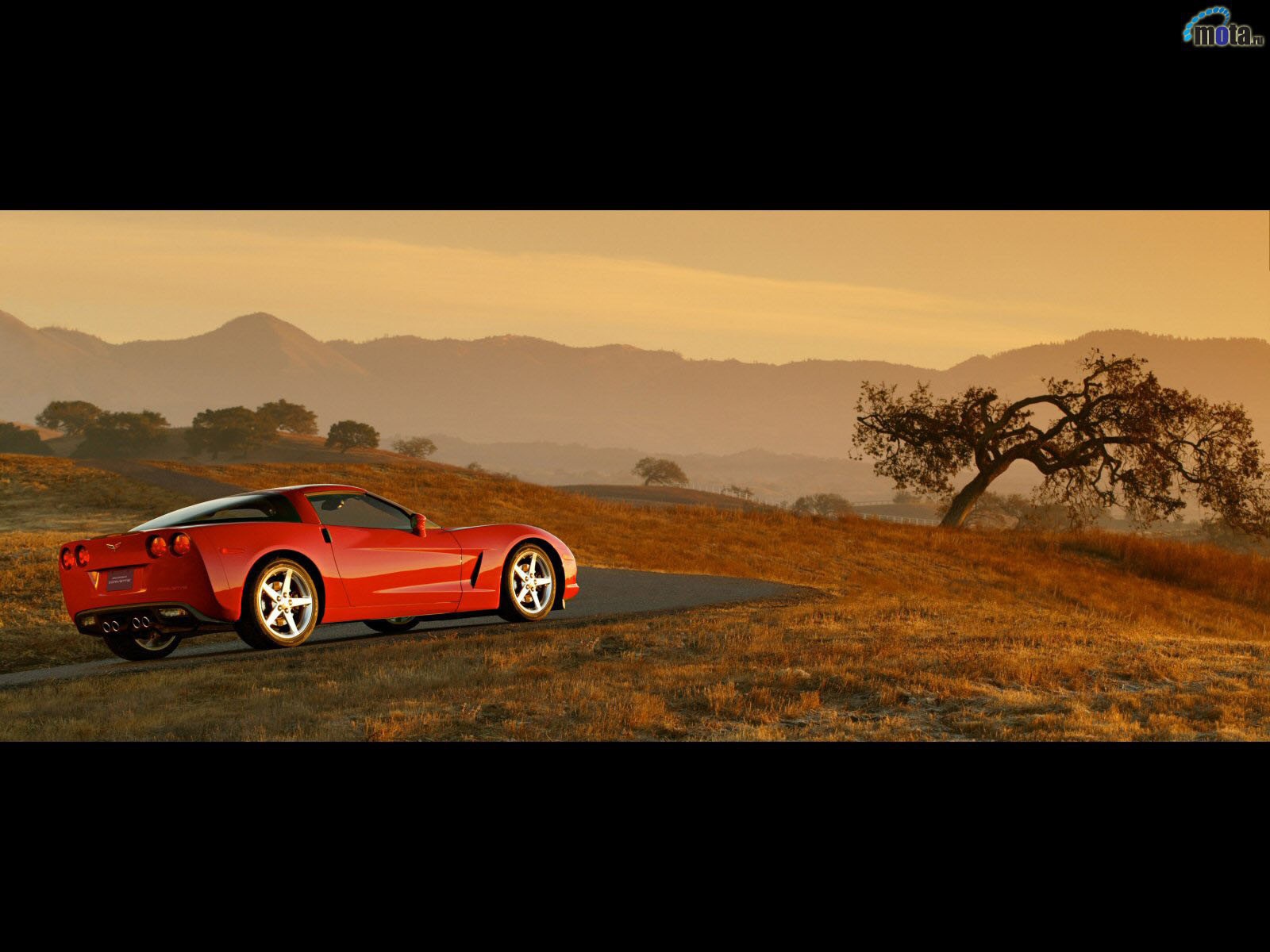 Красный Шевроле в саванне