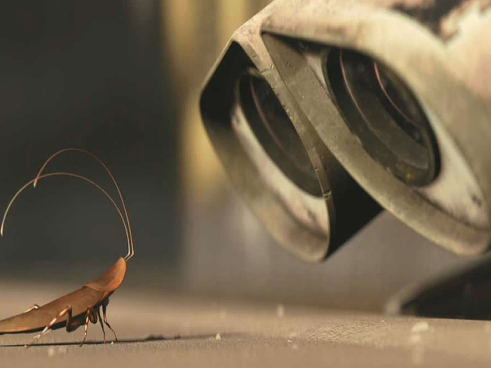 Таракан-робот