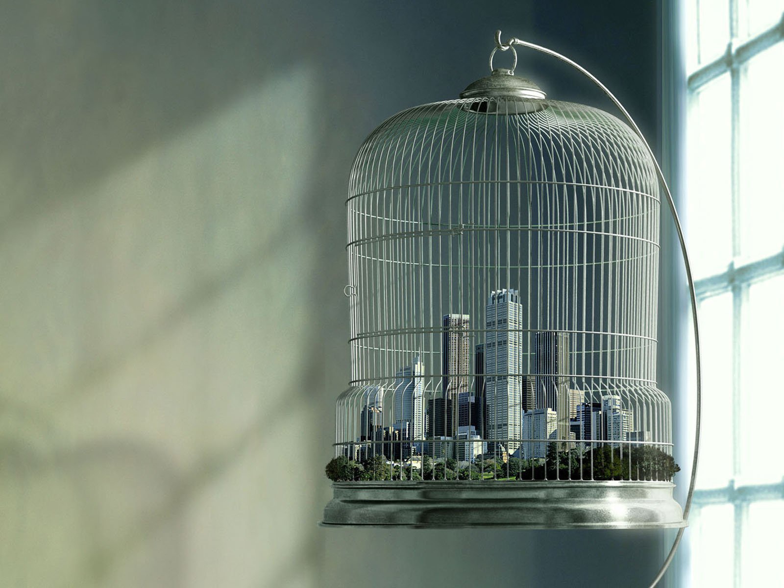 Город в клетке