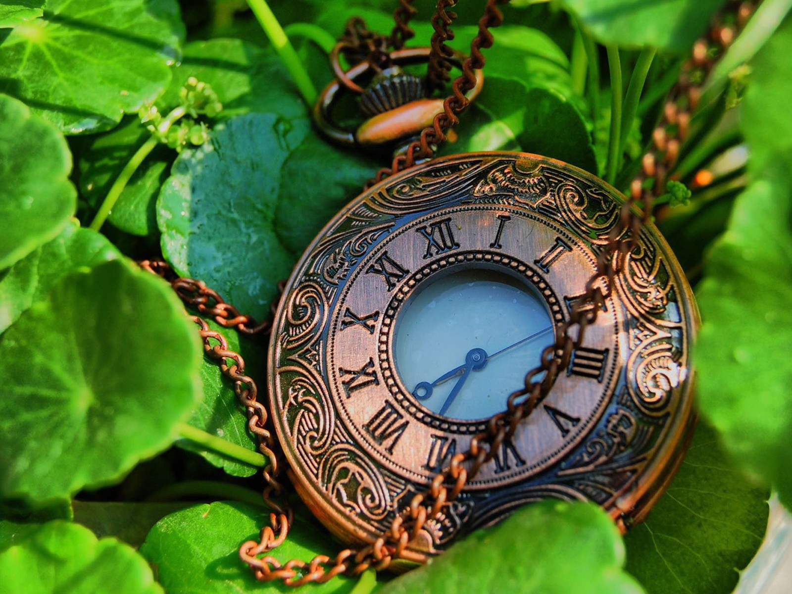 Карманные часы с цепочкой