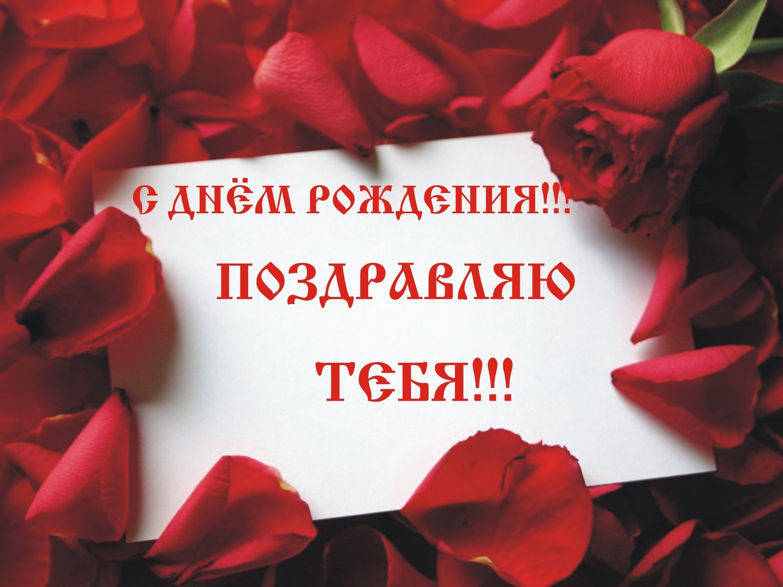 Лепестки роз на день рождения