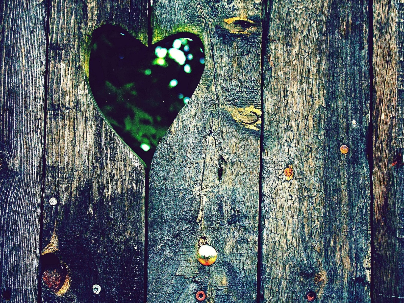 Сердце в заборе