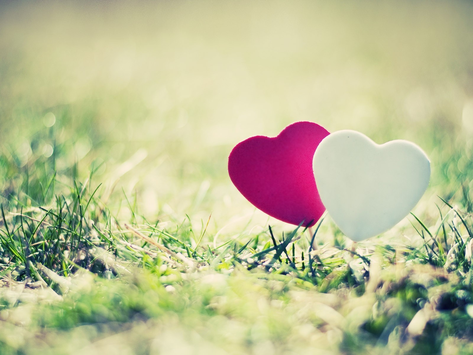 Два сердечка на траве