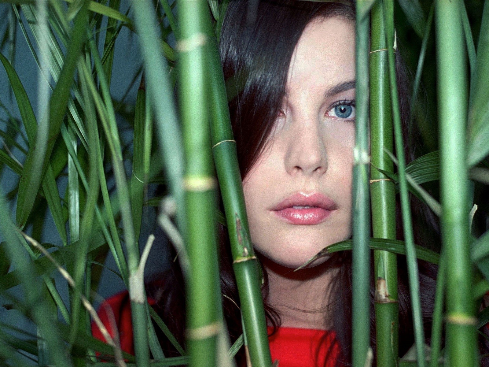 Лив Тайлер в бамбуке