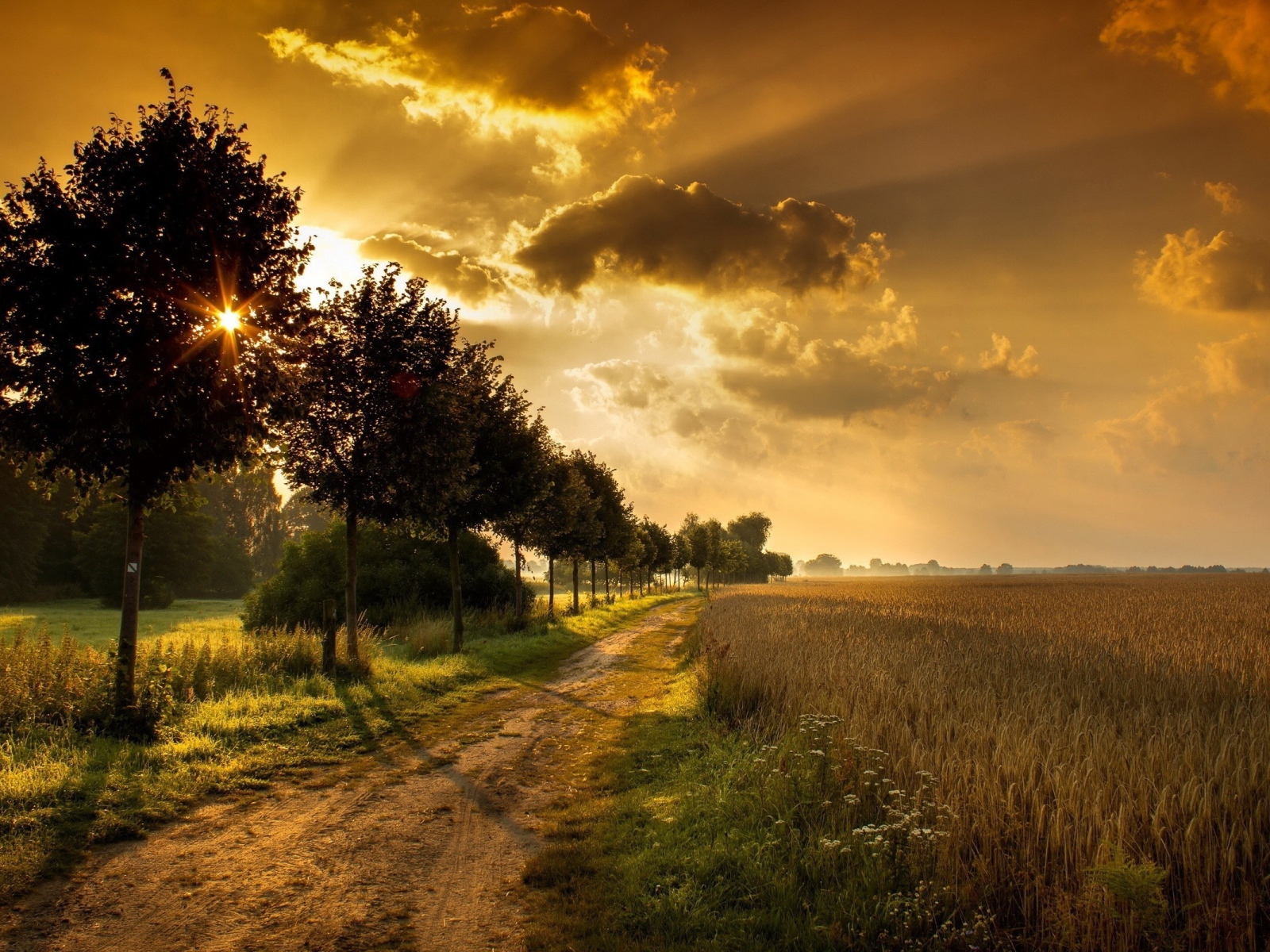 Дорога у поля