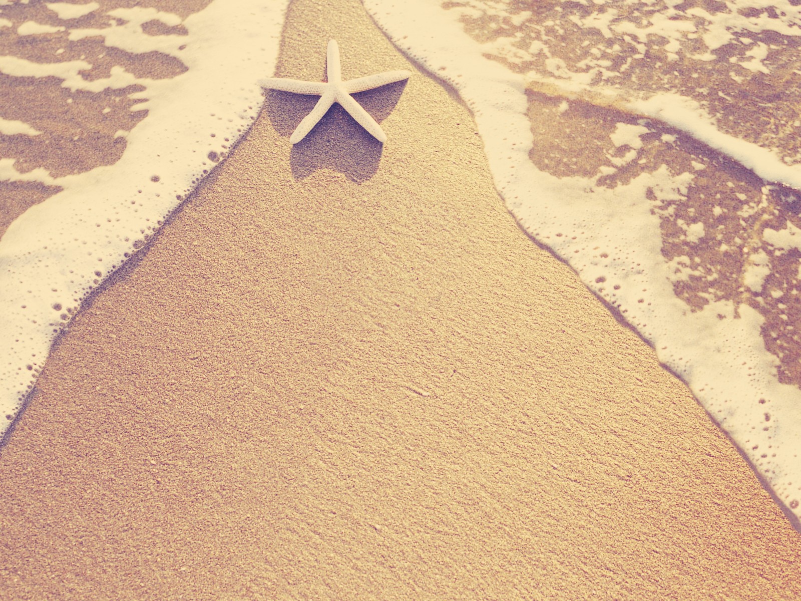 Морская звезда на пляже