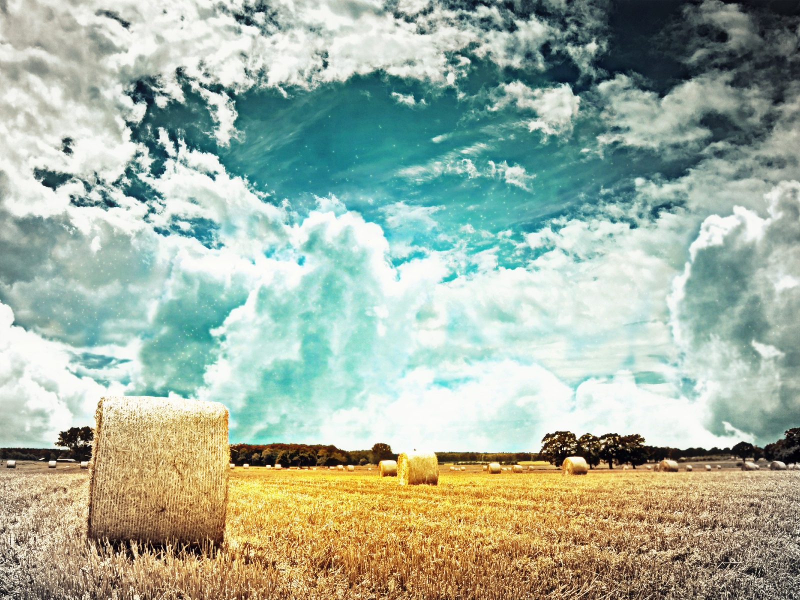 Тучи над полем