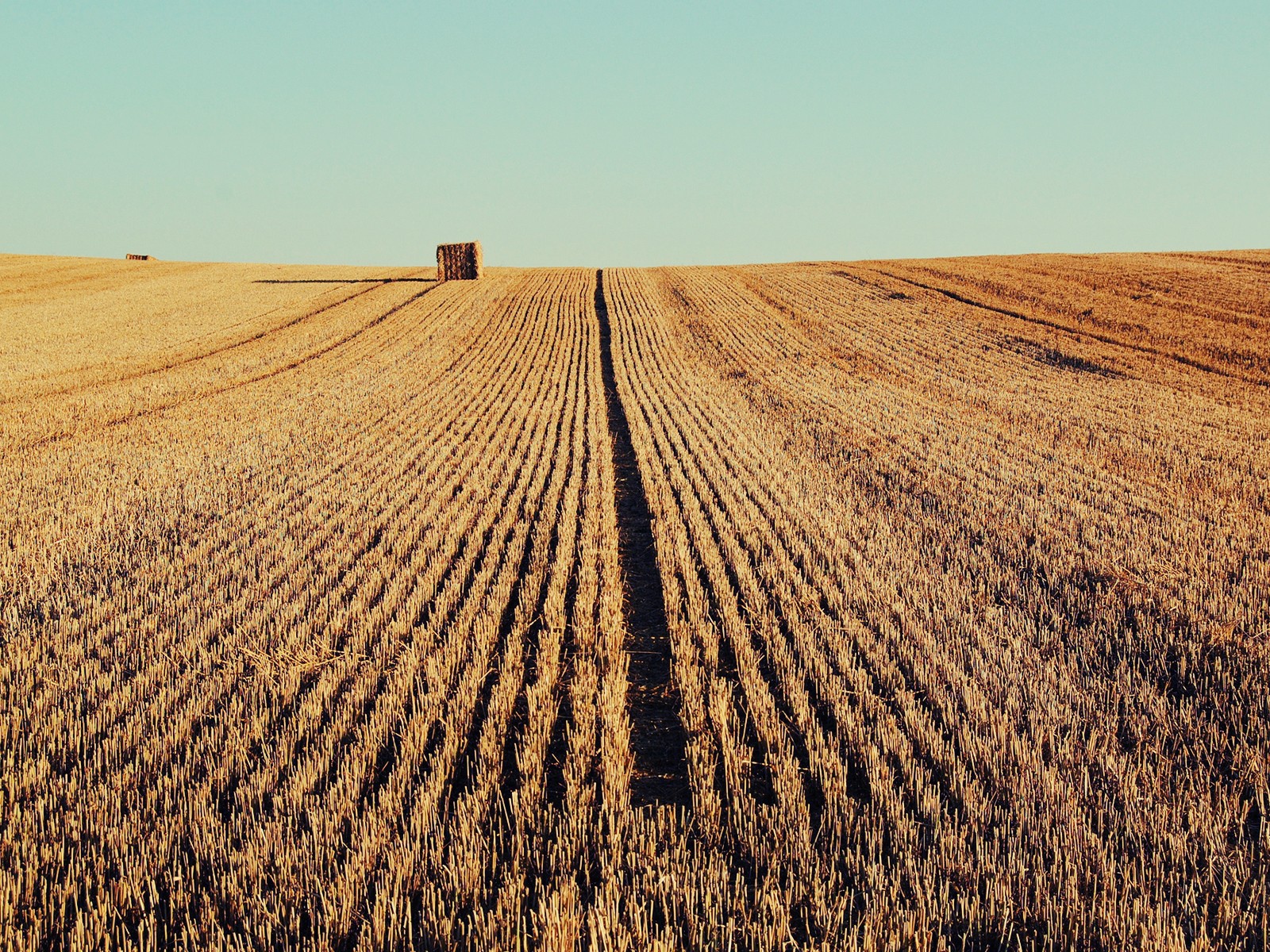 Осень скошенное поле