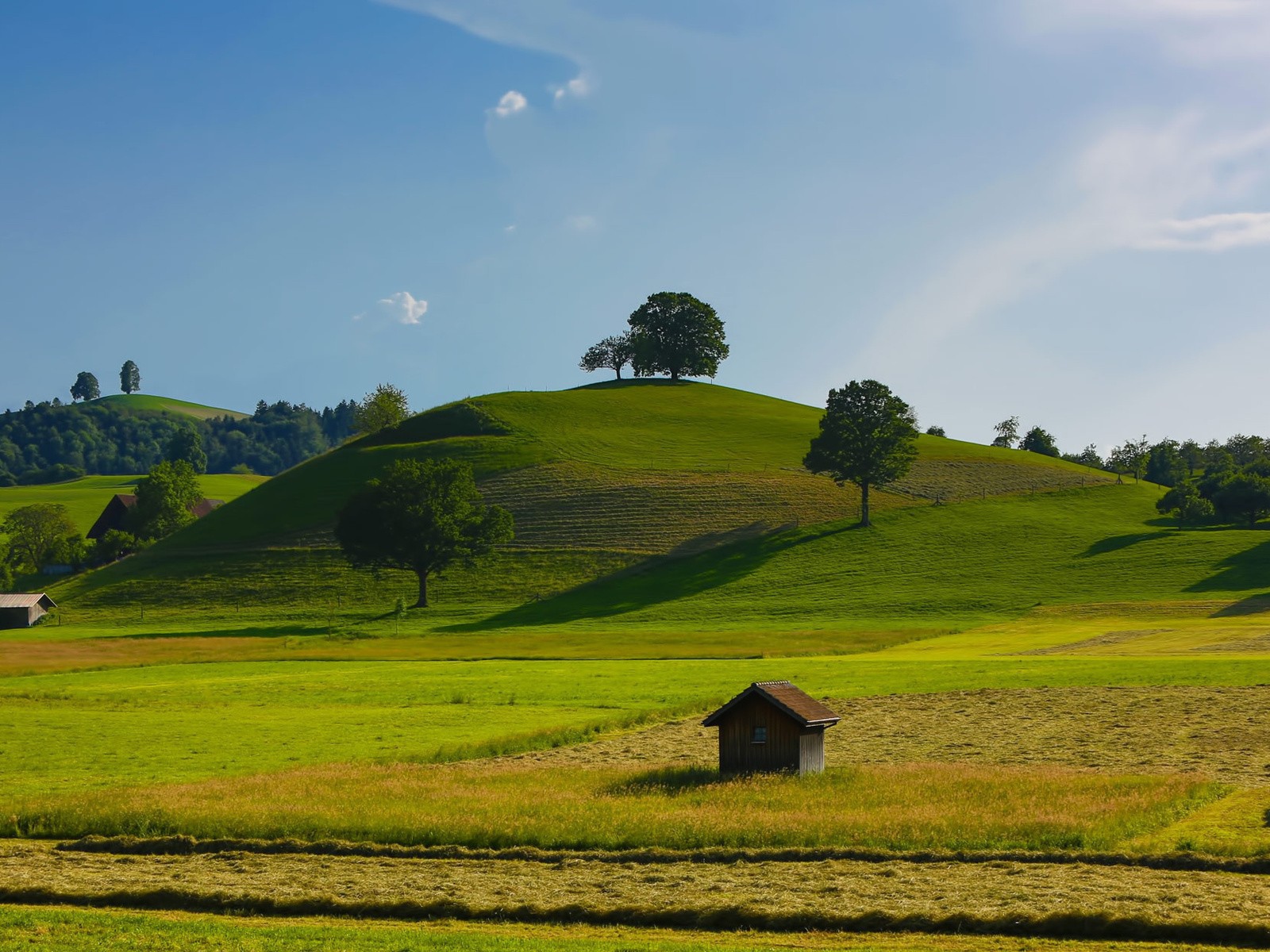Урожайные поля