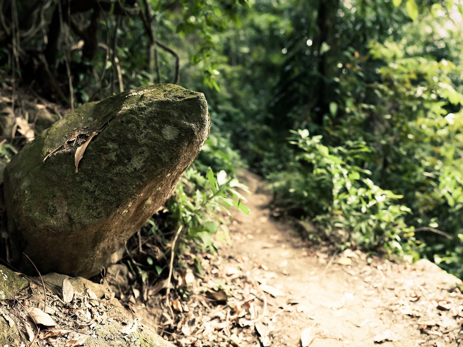 Камень у дороги