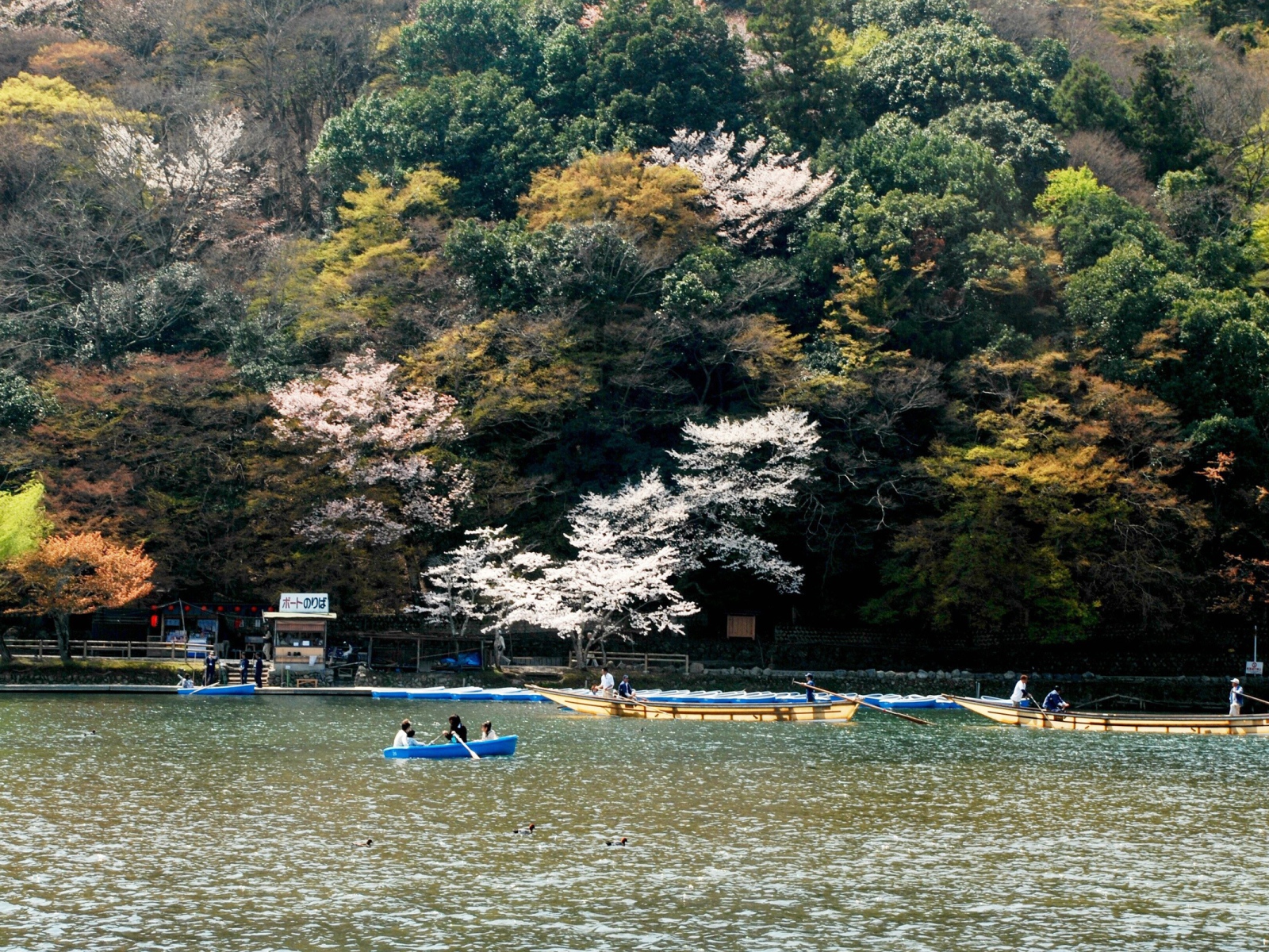 Катание на лодках