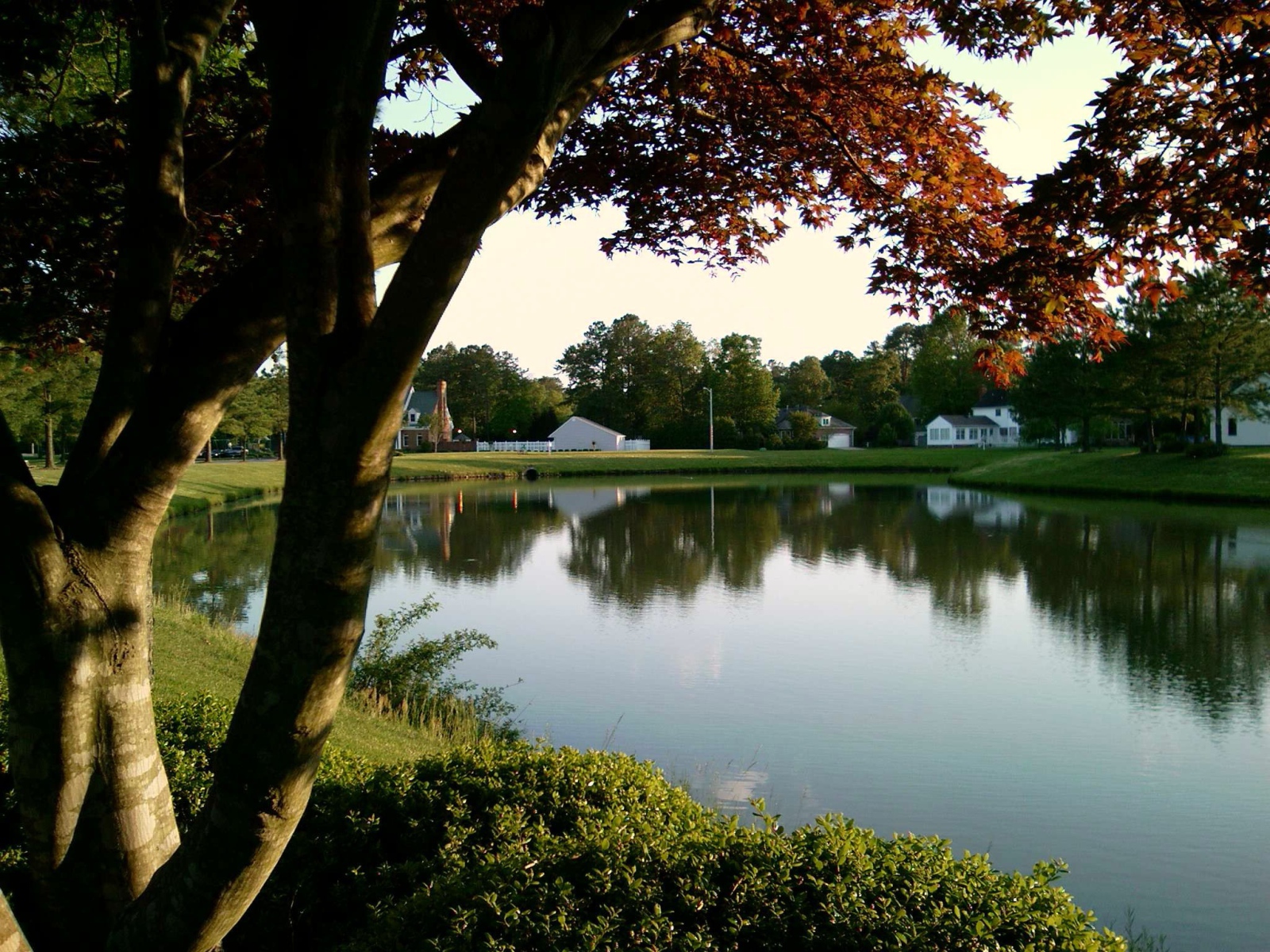 Тихий пруд в Германии