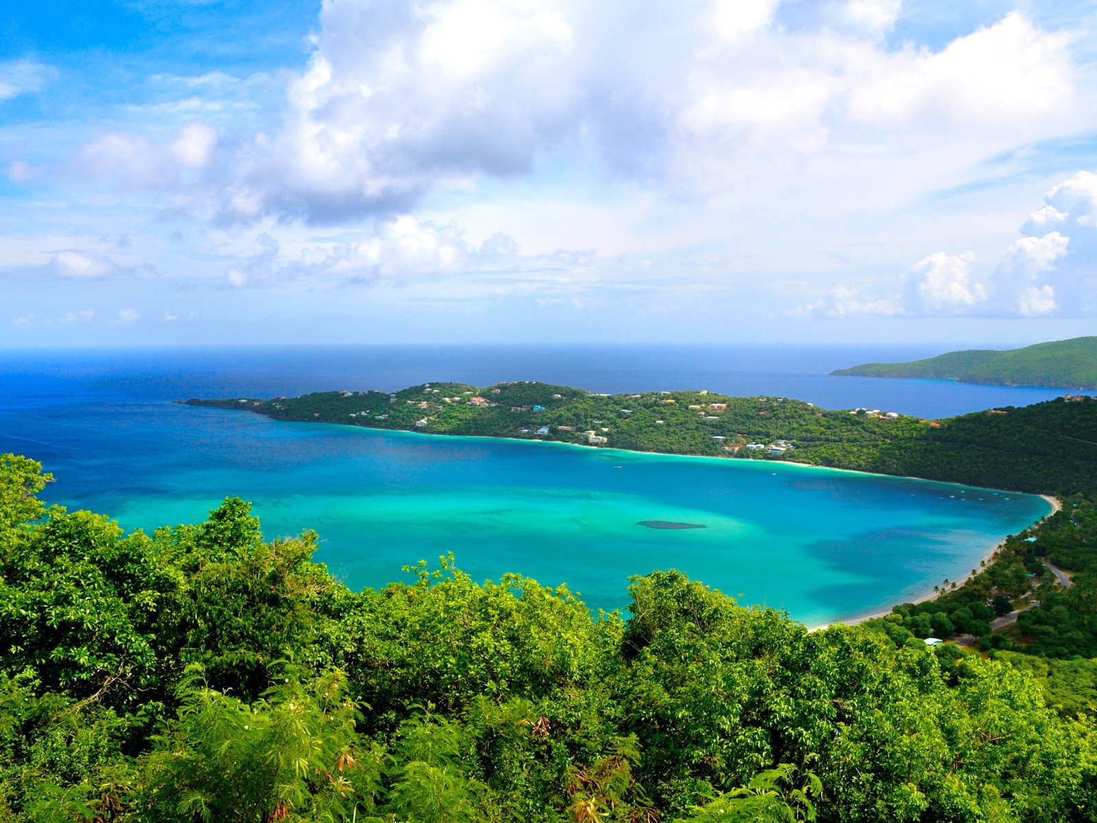 Зеленое побережье океана