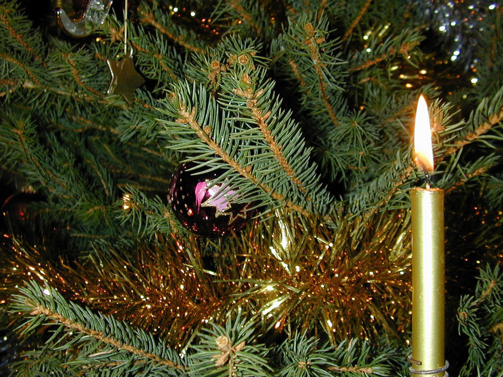 Новогодняя елка и горящая свеча