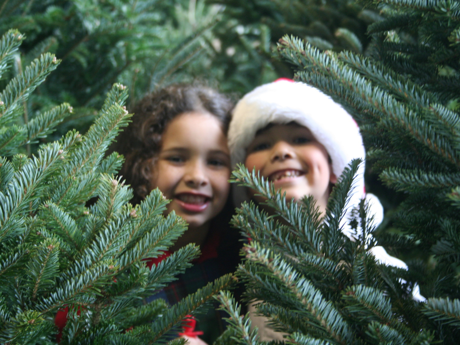 Дети у новогодней елки 2014