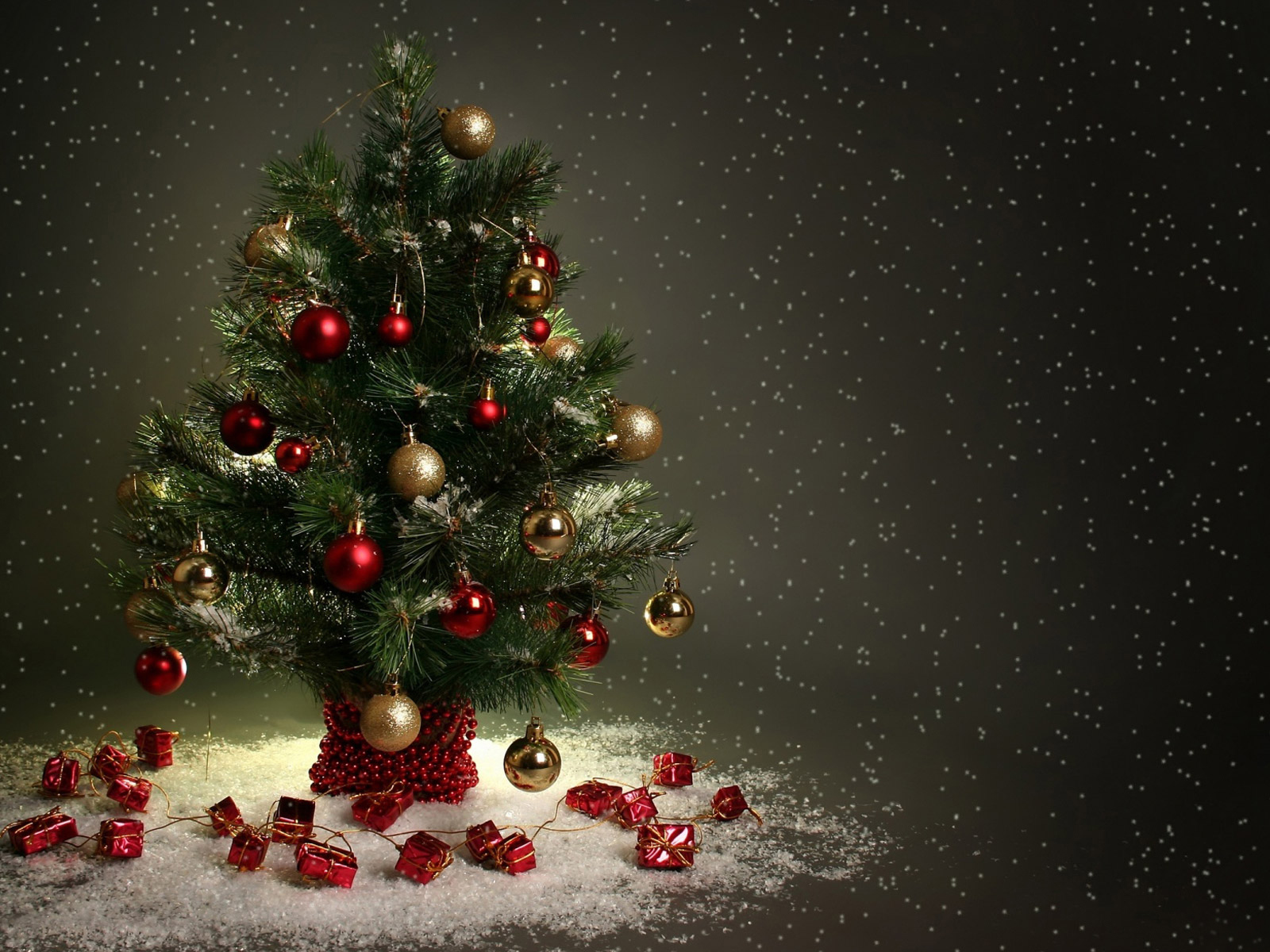 Маленькая Новогодняя елка в снегу