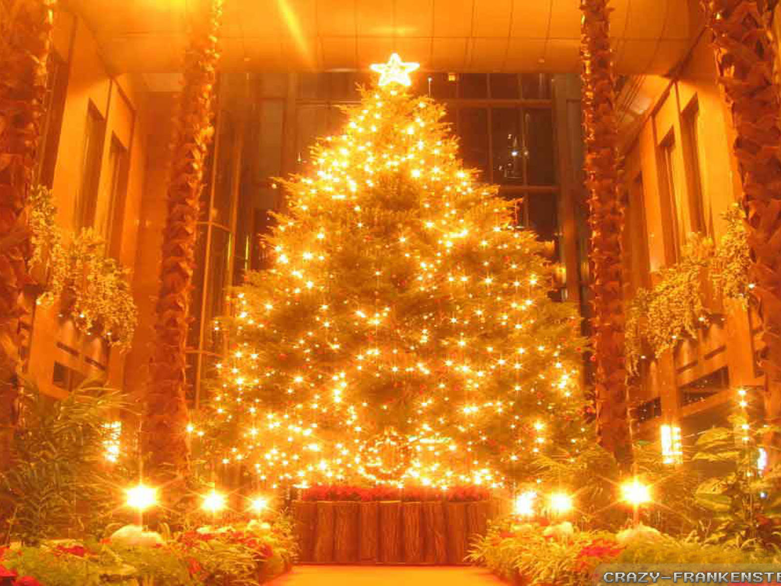 Новогодняя елка в поразительной картине