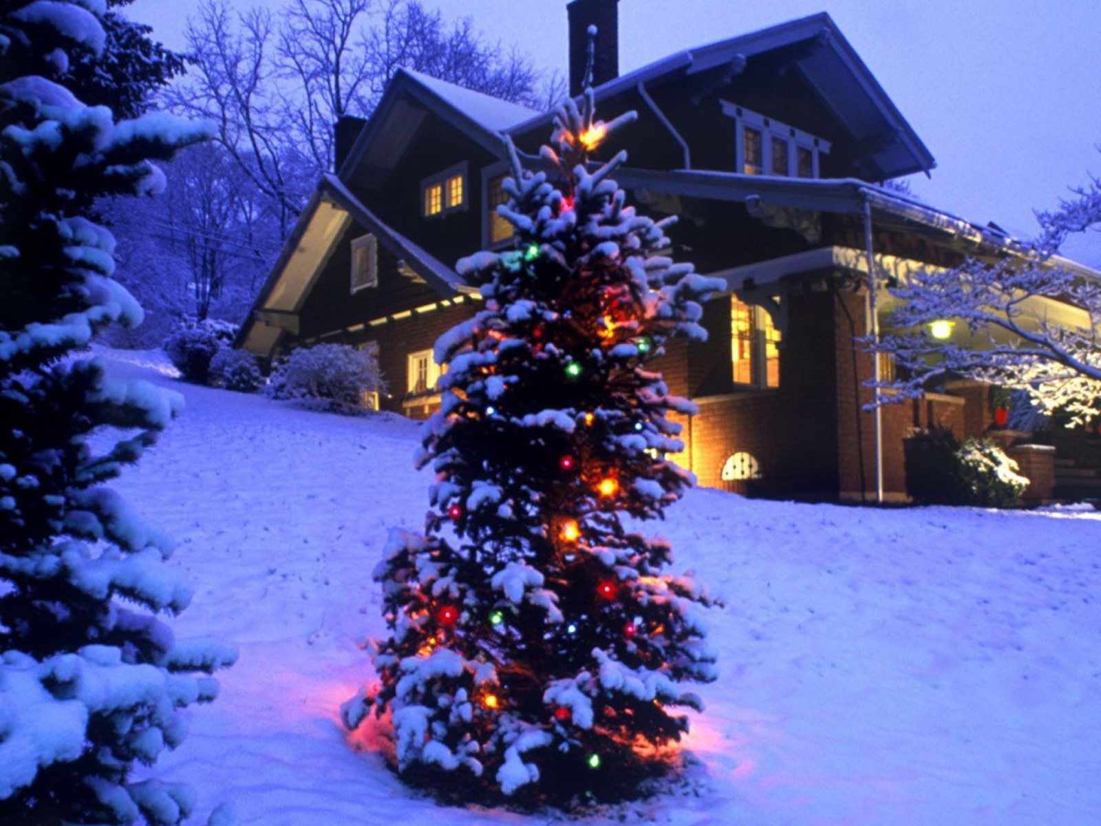 Новогодняя елка в зимнем лесу